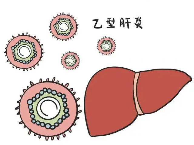 男朋友有乙肝接吻能傳染我嗎？